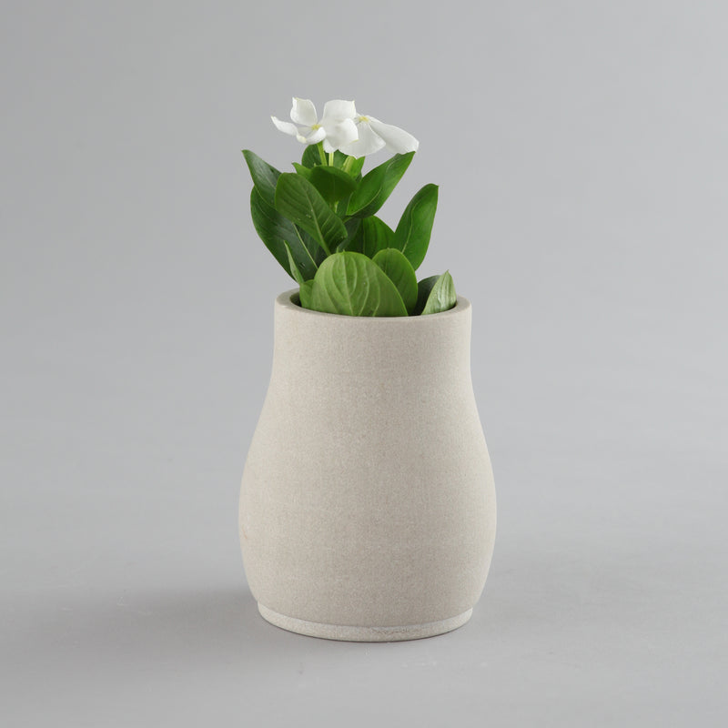 Pretty-White Flower Vase